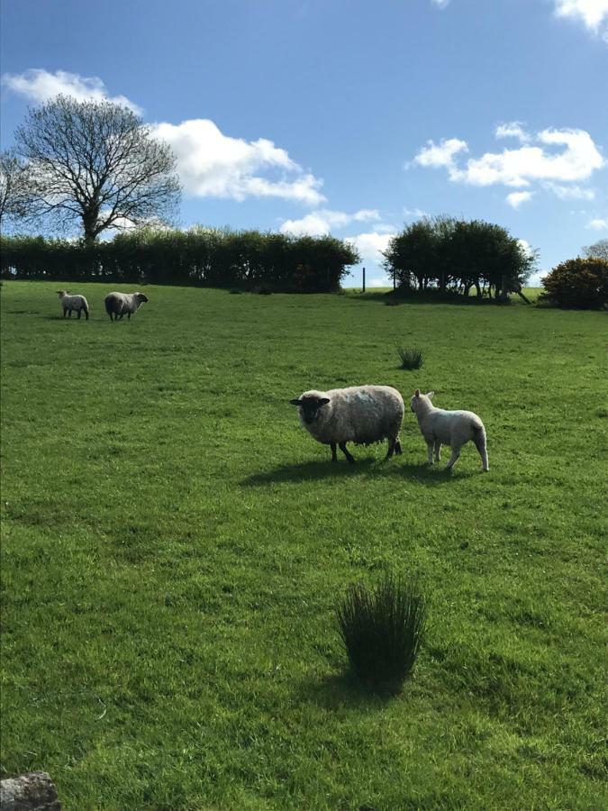 Annslea Otel Lisburn Dış mekan fotoğraf